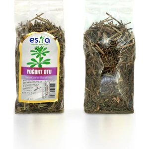 Yoğurt Otu 40 gr