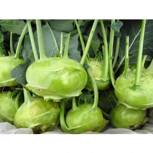 Ata Tohumculuk 2 Litre Torf Toprak Perlit Karışımlı Torf Çiçek Toprağı Saksı Toprağı Yerli Torf Bitki Toprağı