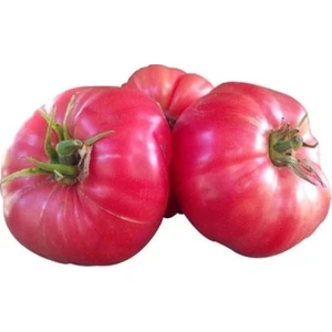 10 Adet Tohum Nadir Iri Pembe Domates Tohumu