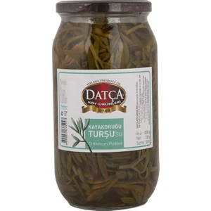 Datça Kaya Koruğu Turşusu 1280 gr