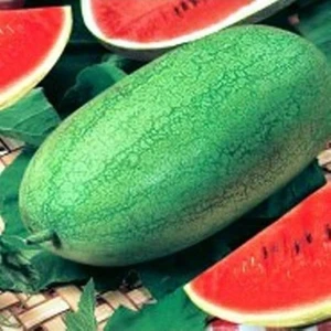 Ata Tohumculuk 10 Adet Tohum Nadir Ithal Çarliston Gray Karpuz Tohumu Tohum  Karpuz Charleston Gray