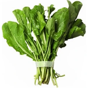 Ata Tohumculuk 50 Adet Tohum Yerli Roka Tohumu Geniş Yapraklı Saksı Toprak