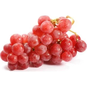 Serdar Çam Tohumculuk Ithal Nadir Pembe Kafkas Üzümü Tohumu Ekim Seti Üzüm Tohumu 5 Tohum Saksı Toprak Kombin