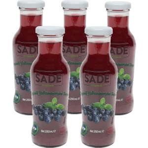 Sade Organik Yaban Mersini Suyu 5X250 ml