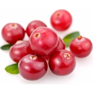 10 Adet Tohum Cranberry Tohumu Yaban Mersini Tohumu Turna Yemişi Tohumu