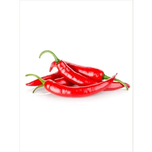 100 Adet Tohum Eko Paket Şili Biberi Tohumu Çok Acı Chili Biberi Tohumu