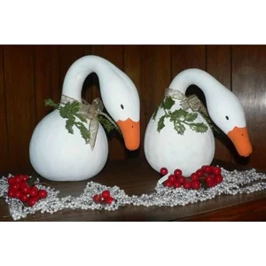 Nadir Kuğu Su Kabağı Tohumu Kabak Tohumu 5 Adet Tohum