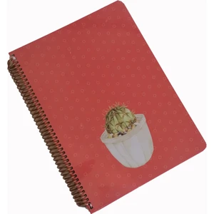 Keskin Color Saguaro 100 Yaprak Çizgili Spiralli Sert Kapak Defter Kırmızı 20 x 28 cm