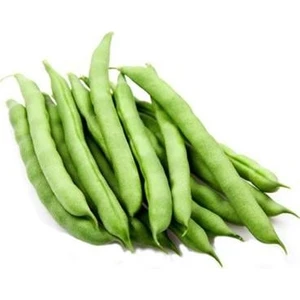 Murat Tohumculuk Murat Tohum Eko Paket Ayşe Kadın Fasulye Tohumu 50 Adet Tohum