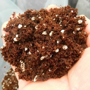 1 Litre Zengin Karışım Çiçek Toprağı Torf Toprak