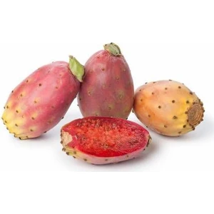 5 Adet Dikenli Incir Tohumu Hint Incir Frenk Inciri Tohumu + Saksı Toprak