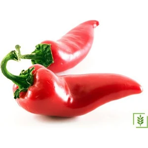 30 Adet Çok Acı Urfa Isot Biberi Tohumu Biber Tohumu