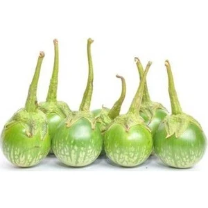 5 Adet Tohum Nadir Yeşil Patlıcan Tohumu Ithal Thayland Patlıcanı