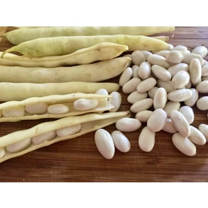 Beyaz Fasulye Tohumu Kuru Fasulye Tohumu Geleneksel Beyaz 25 Adet Tohum