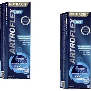 Artroflex Gel 100 ml x 2