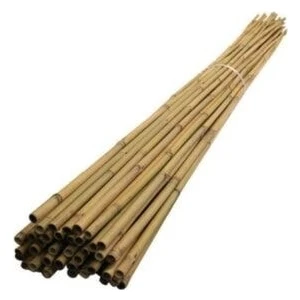 Uzay Bahçesi Doğal Bambu Çubuk/ Bitki Destek Çubuğu 120 cm 10 Adet