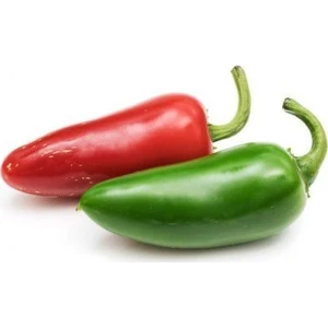 Serdar Çam Tohumculuk Nadir Ithal Jalapeno Biberi Tohumu Ekim Seti 5 Tohum Meksika Biberi Tohumu Saksı Toprak Kombin