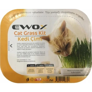 Kedi Çimi