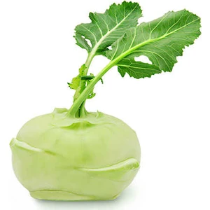 Yer Lahanası Sebzesi Tohumu 25'li