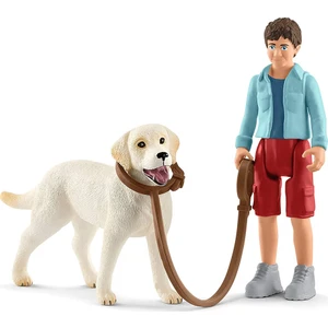 Labrador ile Yürüyüş 42478