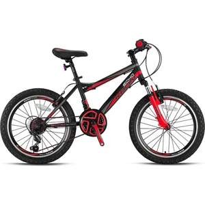 Vortex 4.0 V Fren 20 Jant Profesyonel Çocuk Bisikleti