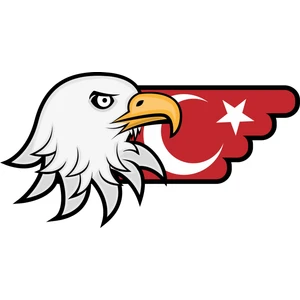 Sticker Fabrikası Türk Bayrağı ve Kartal Sticker 00727