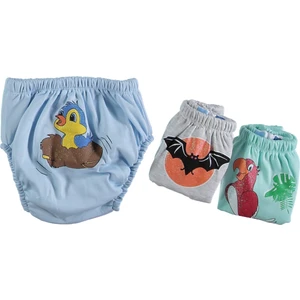 Sevimli Kuşlar ve Yarasa Desenli Erkek Bebek 3'lü Alıştırma Külodu