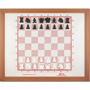 Satranç Eğitim Panosu 80X96 cm