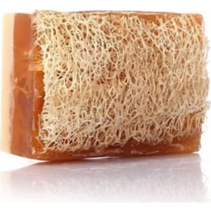 %100 Doğal El Yapımı Eşek Sütü Ballı Kabak Lifli Güzellik Sabunu