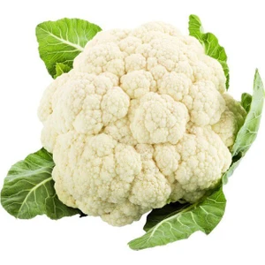 Karnabahar Tohumu Karnıbahar Tohumu 35  Tohum