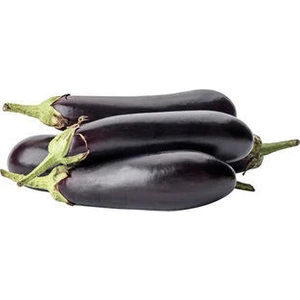 Kemer Patlıcanı Tohumu Kemer Patlıcan Tohumu 25  Tohum