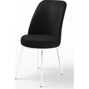 Concept Dexa Serisi Metal Ayaklı 1.sınıf Sandalye / 6 Adet Sandalye/ Beyaz Ayaklı