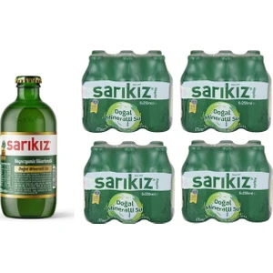 Sade Soda 250 ml x 24'lü (Alaşehir)