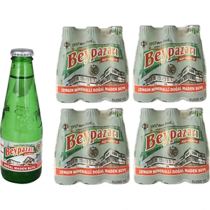 Sade Soda 200ml x 24'lü