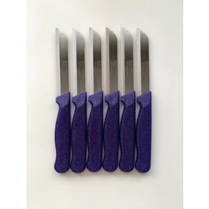 Meyve, Sebze Bıçağı