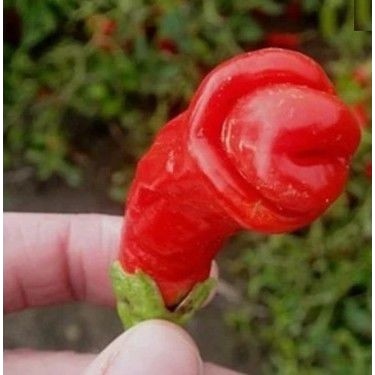 Rus swingers jinsiy aloqa onlayn tomosha qiling