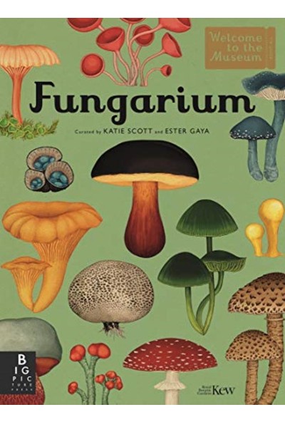 Welcome To The Museum Fungarium - Katie Scott