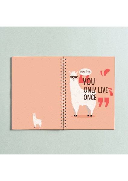 No Problama Spiral A5 96 Yaprak Çizgisiz Defter PYTKDT0242