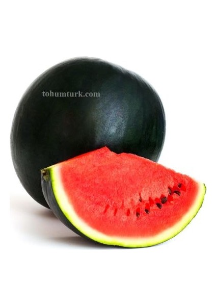 20 Adet Büyük Iri Boy Siyah Karpuz Tohumu Kara Bal Karpuz Tohumu