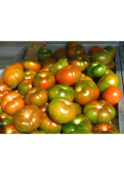 30 Adet Mis Kokulu Yayla Domatesi Tohumu Domates Tohumu