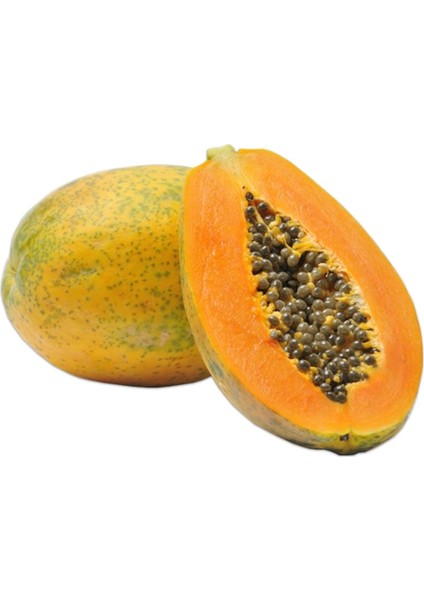 Papaya Ağacı Tohumu 3 Adet Ithal Tropikal Papaya Ağacı Tohumu + Saksı + Toprak