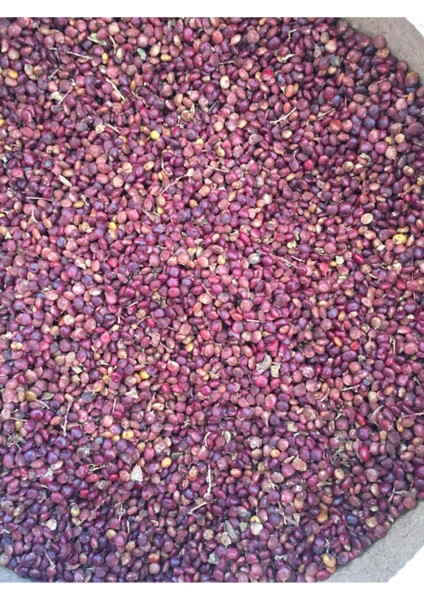Tane Sumak(Çekidek Sumak) 500 gr