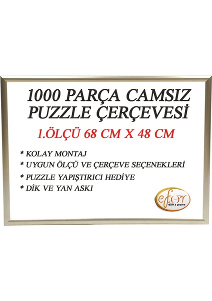 1000 Parça -Camsız - 2.ölçü 68 cm x 48 cm - Renk Platin Gümüş-Çerçeve 23 mm