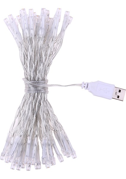 Peri Lamba USB 50 Ledli Top Dize Işık Noel Düğün Ev (Yurt Dışından)