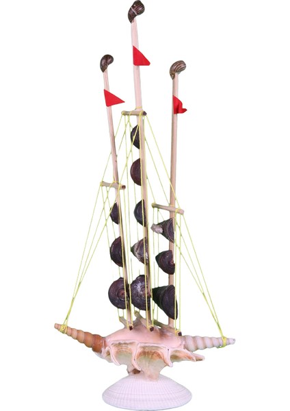 Kabuk Gemi-Kesik Telescopıum