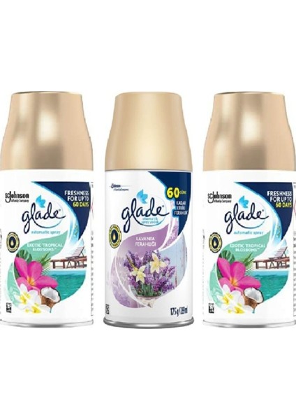 Oda Kokusu Tropikal Floral x Lavanta Ferahlığı x Tropikal Floral Yedek Sprey = 3 x 269 ml