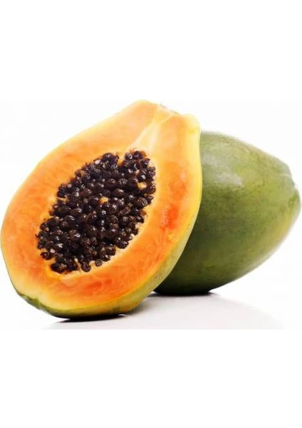 15 Adet Tohum Eko Paket Papaya Ağacı Tohumu Tropikal Papaya Ağacı Tohumu