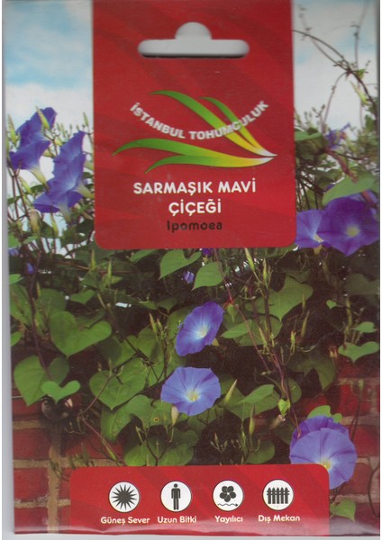 Sarmaşık Mavi Tohumu