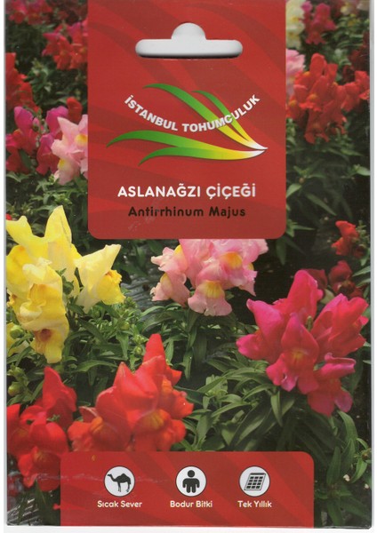 Aslanağazı Çiçek Tohumu
