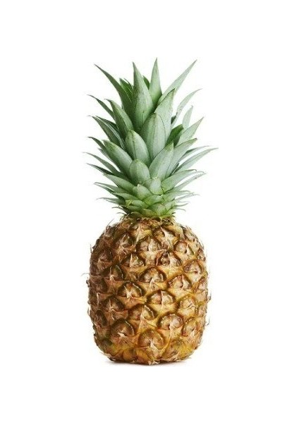 15 Adet Ananas Meyve Tohumu Ananas Tohumu Yeni modelleri